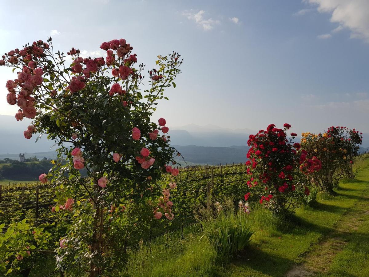 Das Matscher Residence & Garden Hotel Appiano Sulla Strada Del Vino Eksteriør bilde