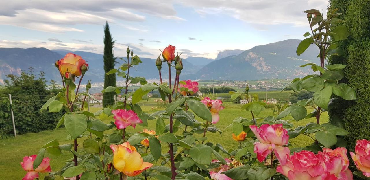 Das Matscher Residence & Garden Hotel Appiano Sulla Strada Del Vino Eksteriør bilde