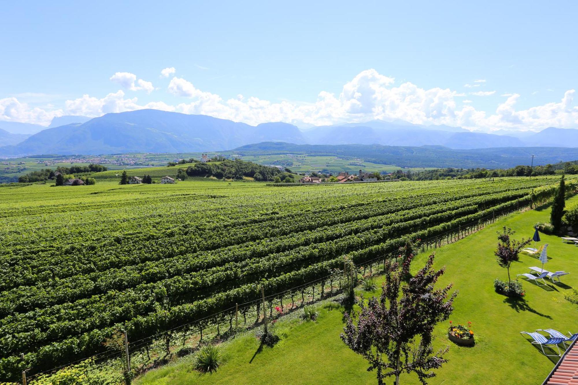 Das Matscher Residence & Garden Hotel Appiano Sulla Strada Del Vino Eksteriør bilde